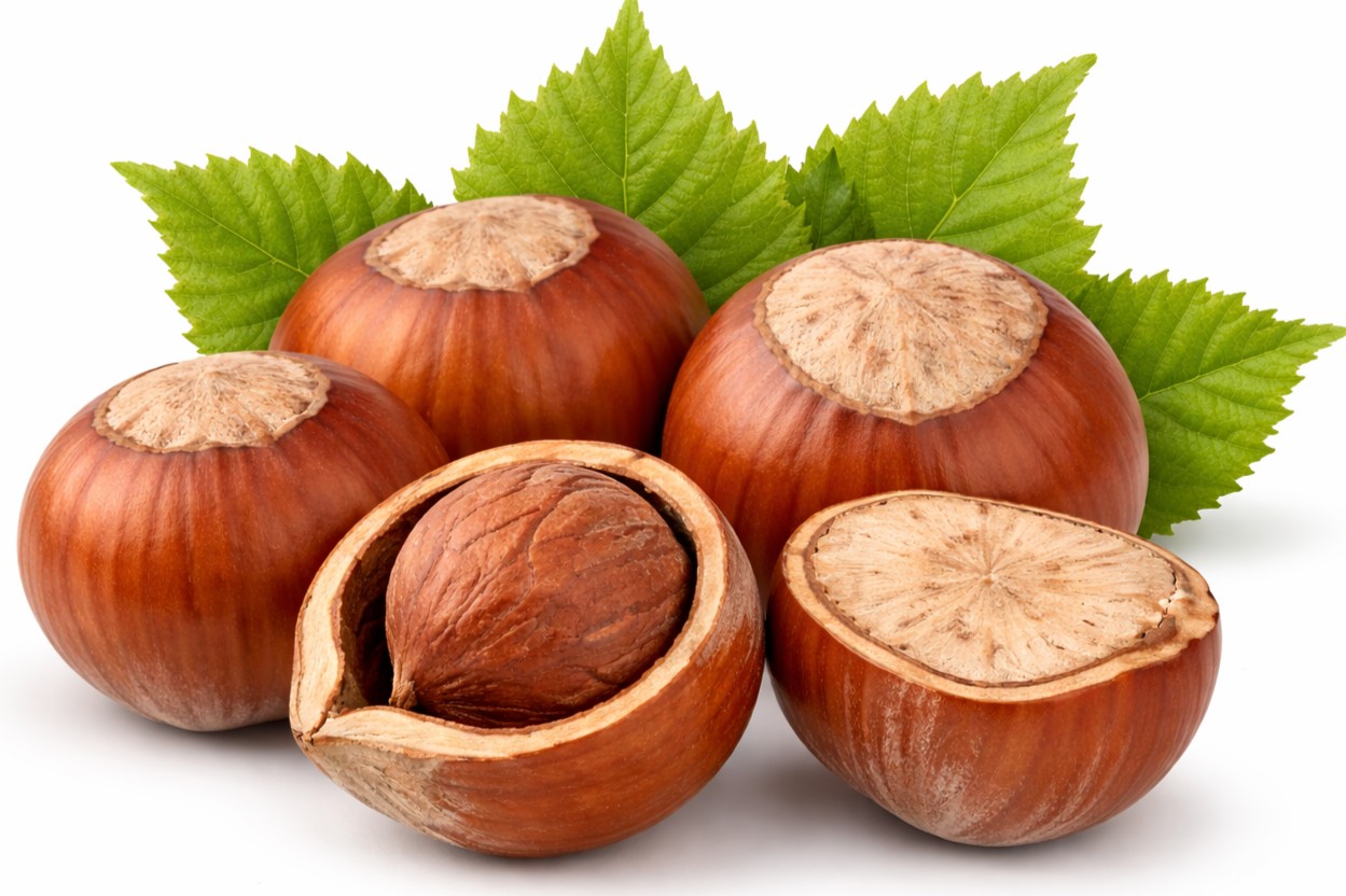 LÍSKOVÉ OŘÍŠKY - voňavé ořechy přírodní i v polevách